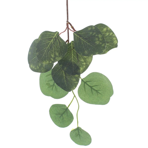 Festive 25cm Green Eucalyptus Stem