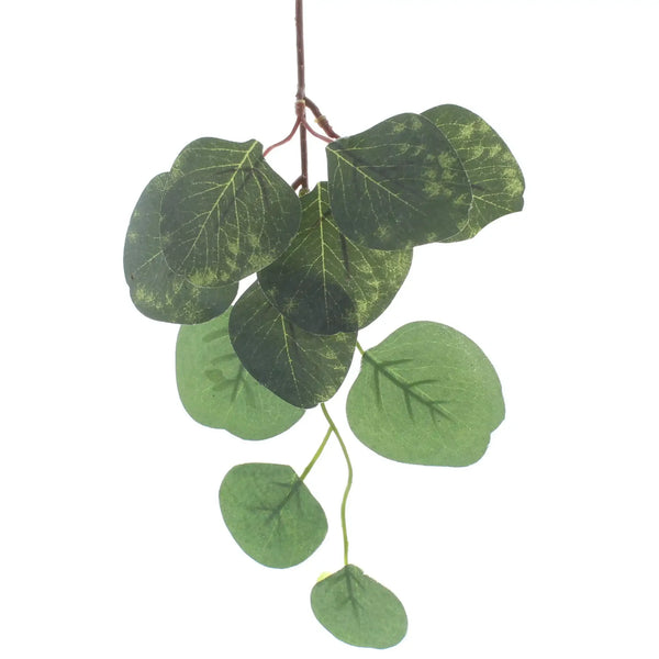 Festive 25cm Green Eucalyptus Stem