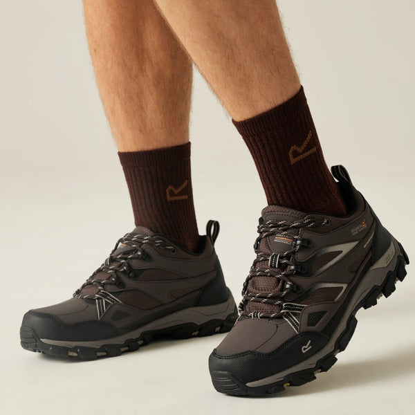 Regatta Holcombe III Low Men's Walking Shoes - Peat
