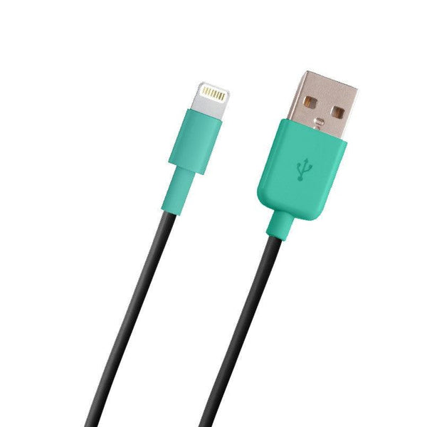 iPhone Sync Charge Cable 5