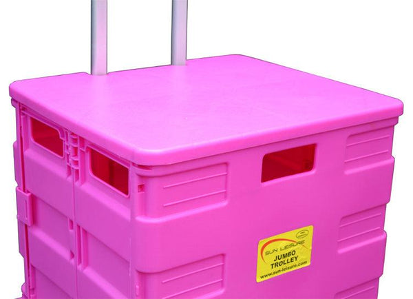 Pack & Go Lid - Pink