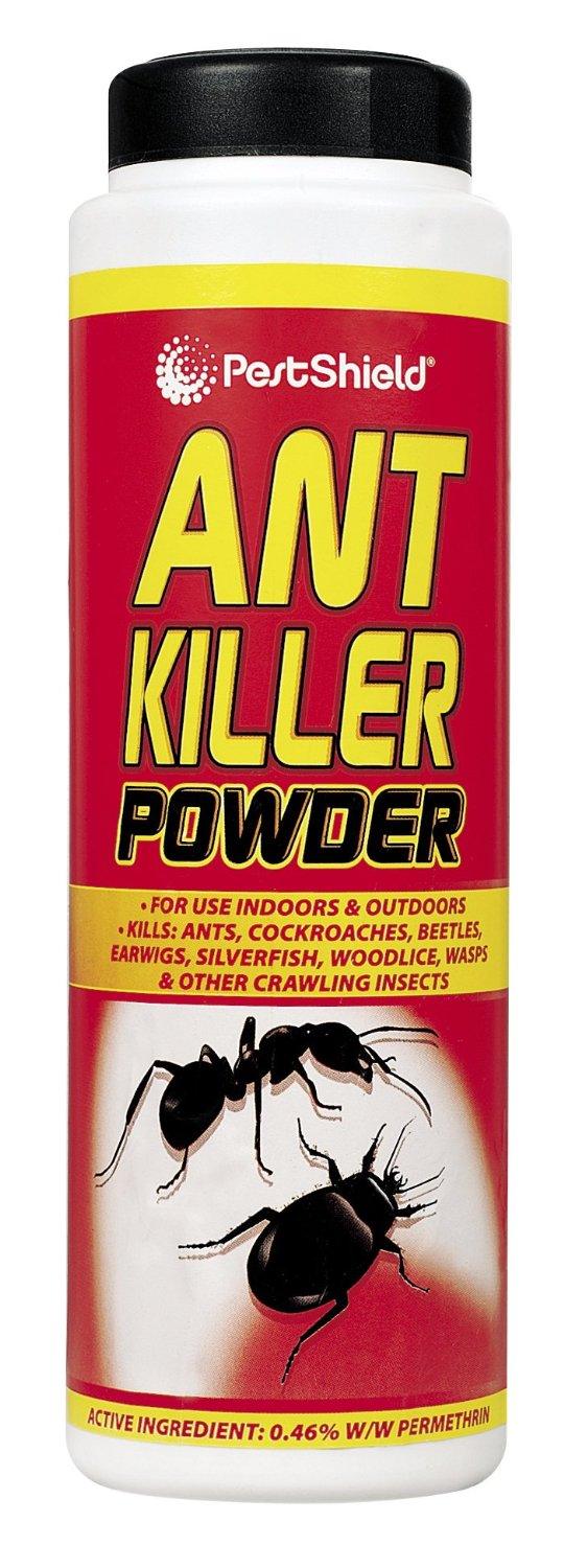Pestshield Ant Killer Powder - 300g – Premier Camping