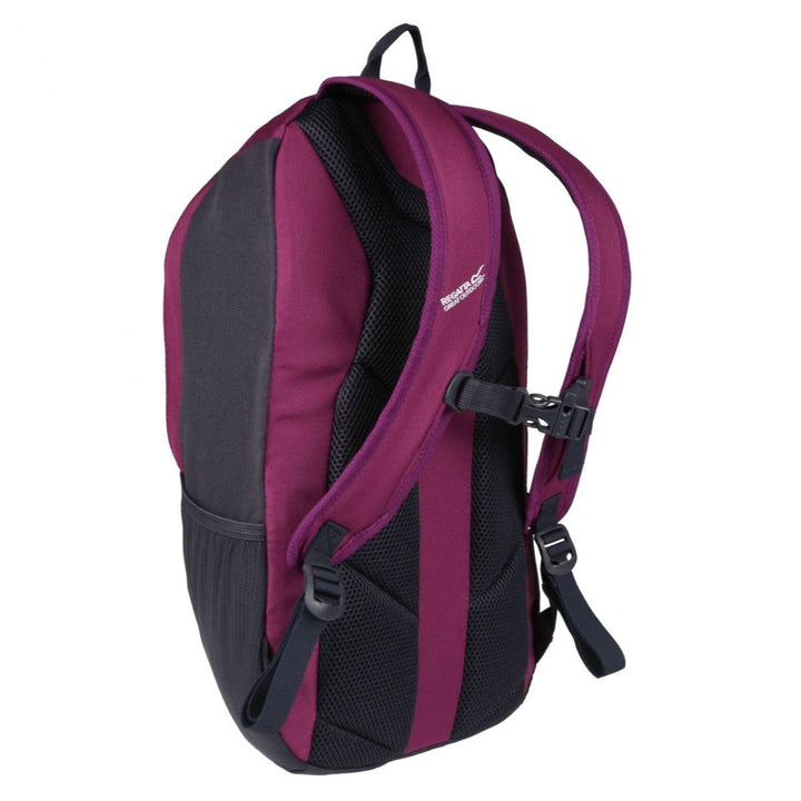 Regatta Highton 25 Litre Rucksack - Winberry - Towsure