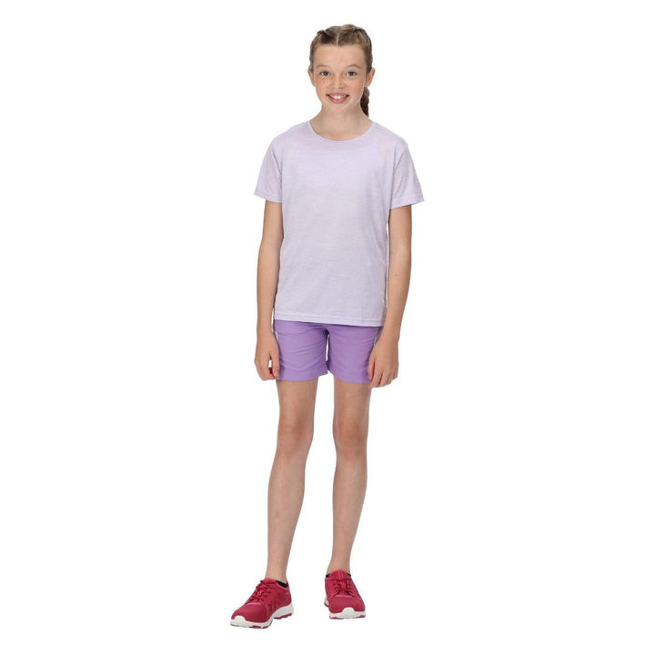 Regatta Sorcer Mountain II Shorts - Amethyst - Towsure