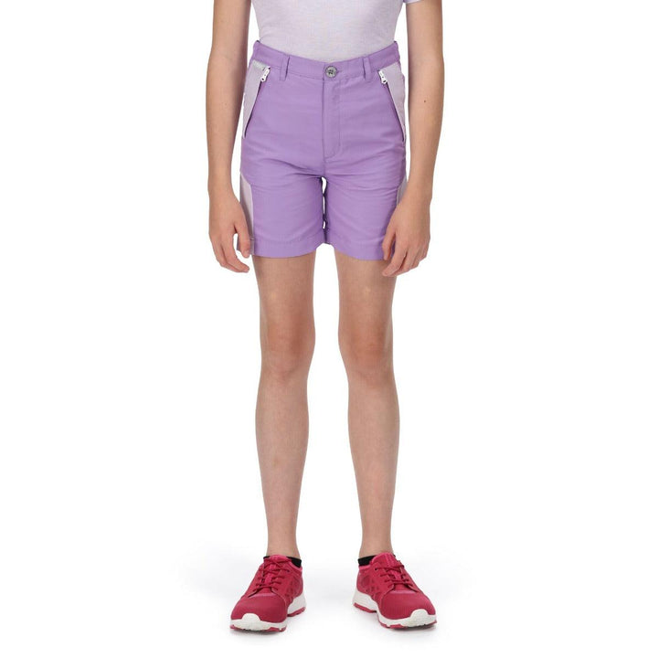 Regatta Sorcer Mountain II Shorts - Amethyst - Towsure