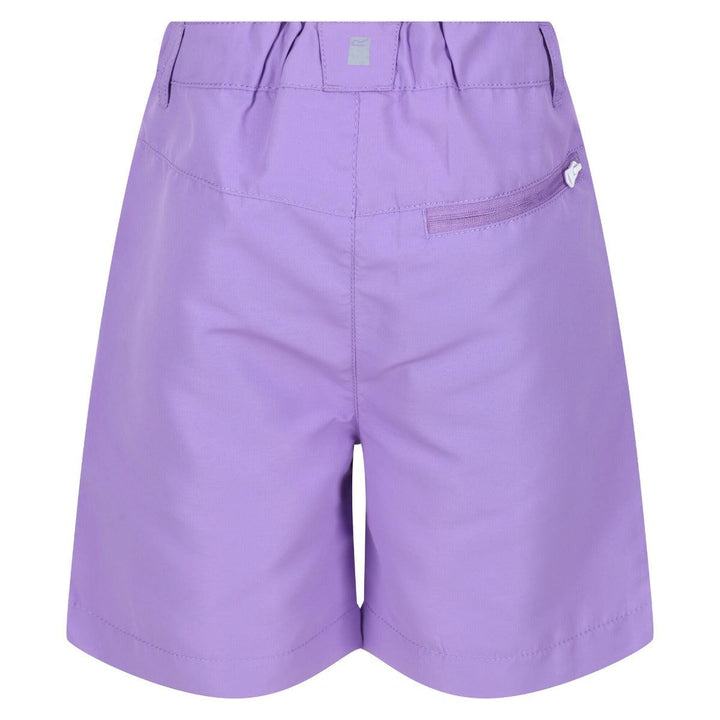 Regatta Sorcer Mountain II Shorts - Amethyst - Towsure