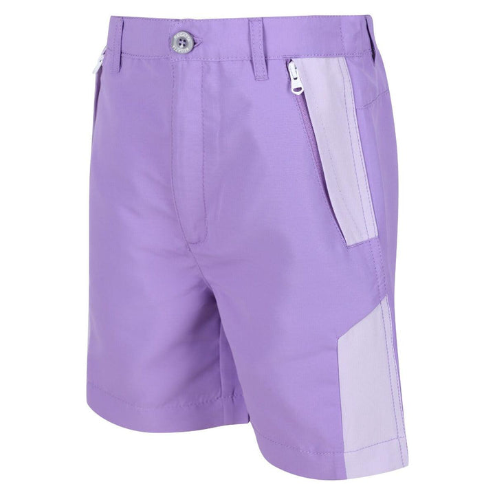 Regatta Sorcer Mountain II Shorts - Amethyst - Towsure