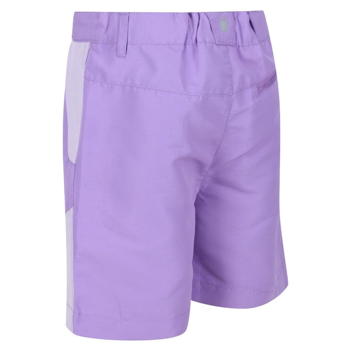 Regatta Sorcer Mountain II Shorts - Amethyst - Towsure