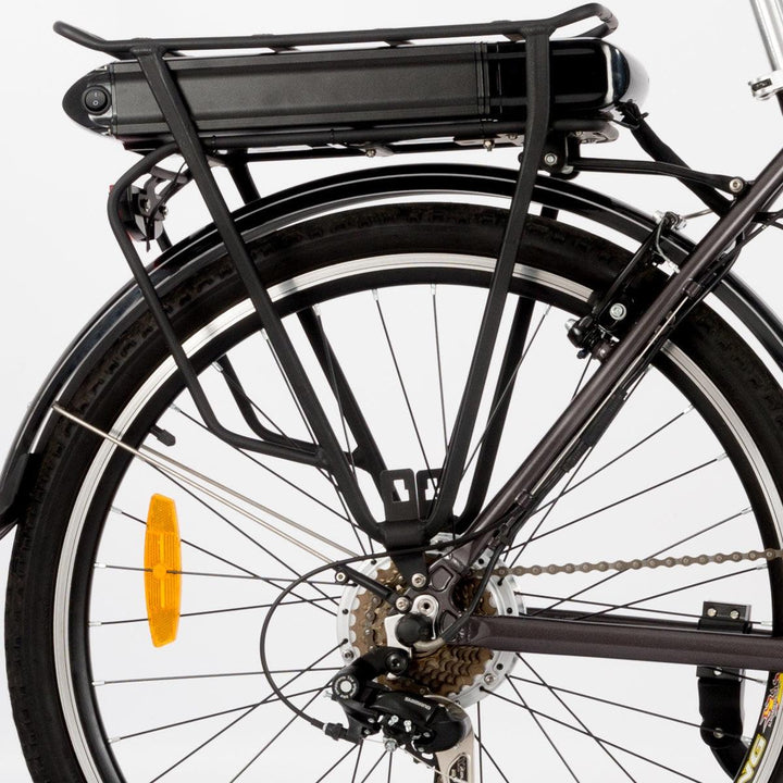 Roodog Tourer Electric Bike - Towsure